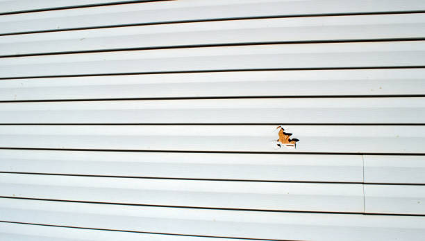 Best Fiber Cement Siding Installation  in Lavonia, GA
